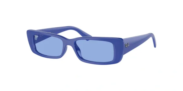 Ray-Ban Teru RB4425 676180