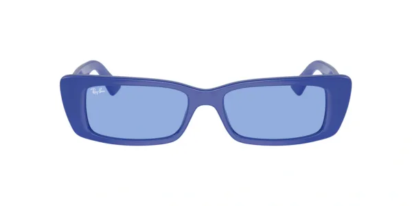Ray-Ban Teru RB4425 676180